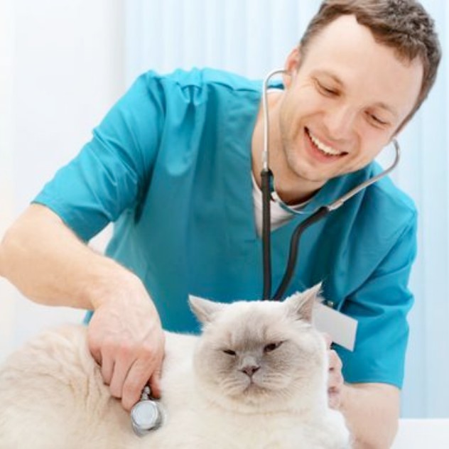 Dr Florian CHAMBEAUD